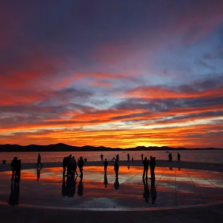 Mara Zadar