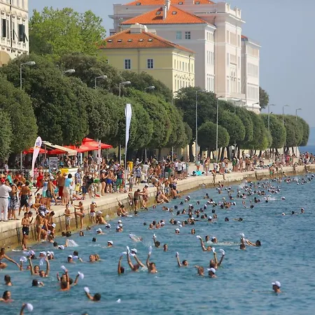 Mara Zadar